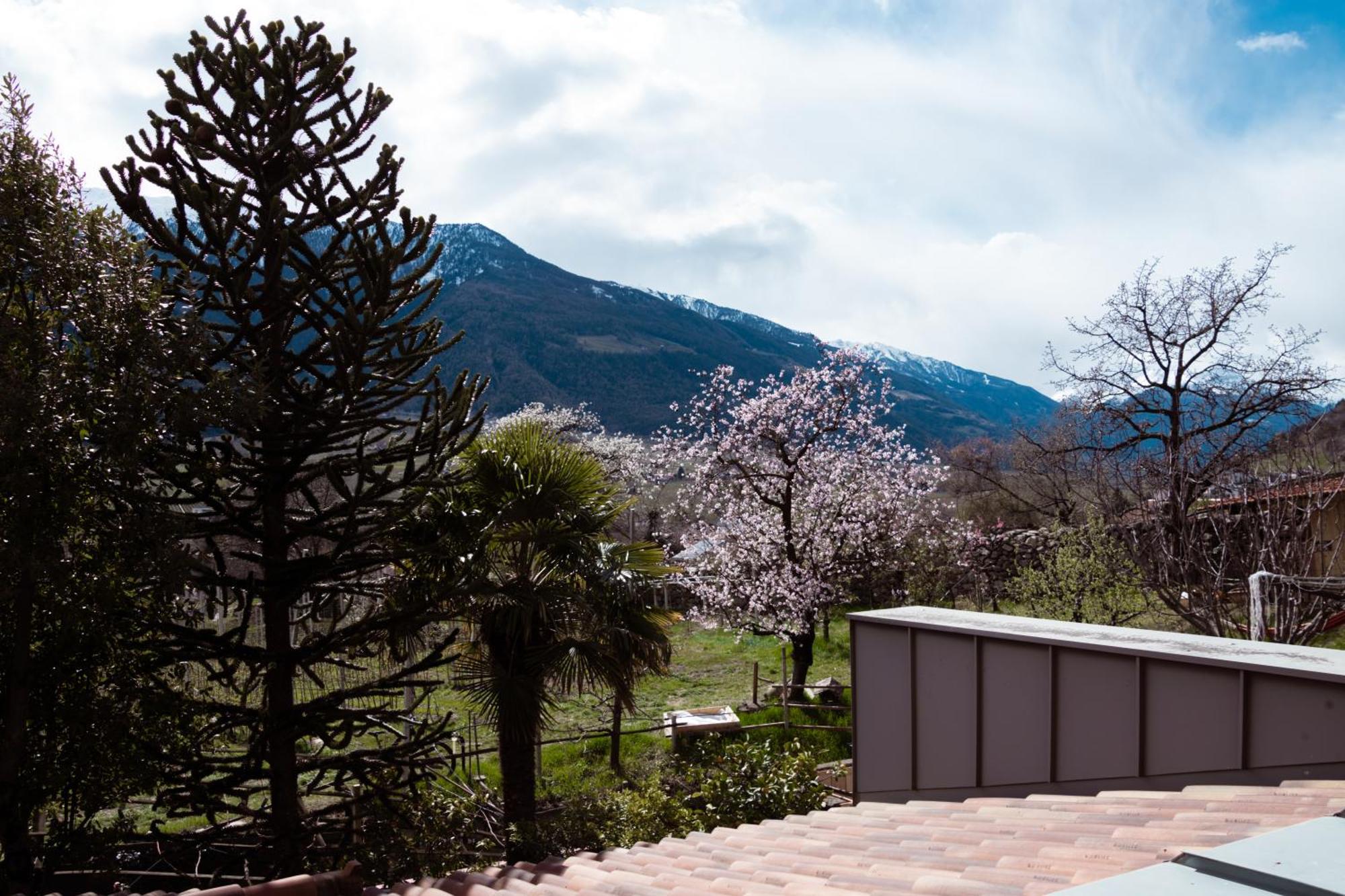 Garni Unterwegguetl Bed & Breakfast Naturns Eksteriør bilde